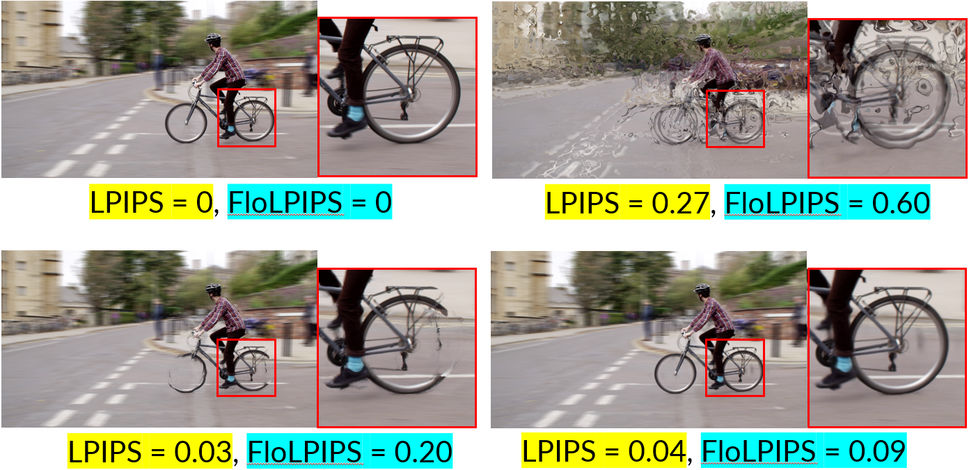 flolpips.png