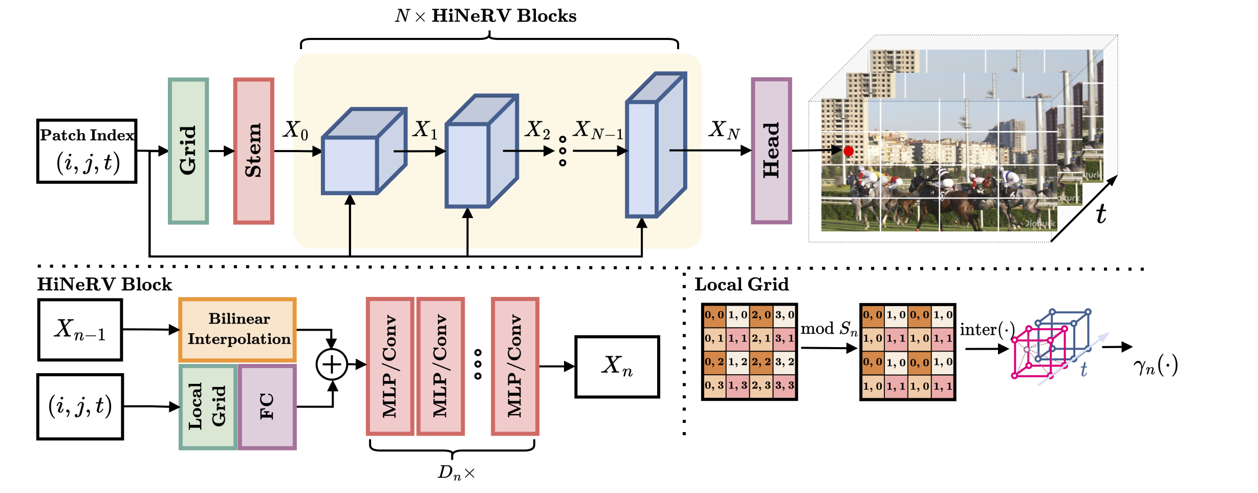 hinerv.png