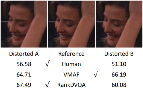 rankdvqa.png
